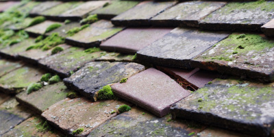 The Roseland roof repair costs